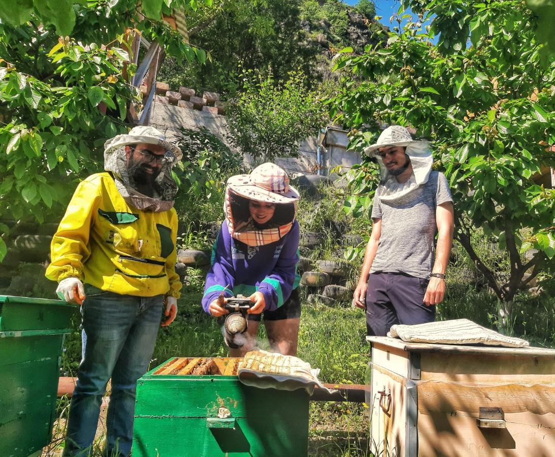 Вилла Armbee Honey Farm Алаверди Экстерьер фото