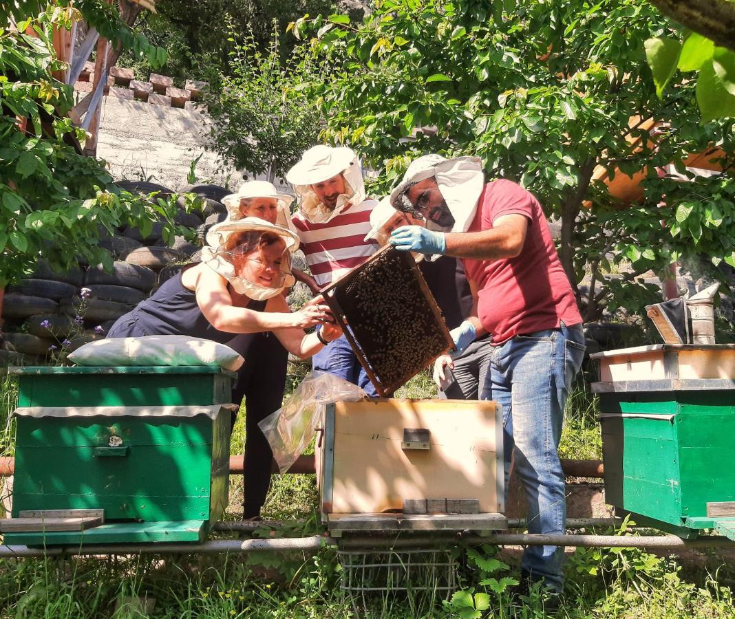 Вилла Armbee Honey Farm Алаверди Экстерьер фото